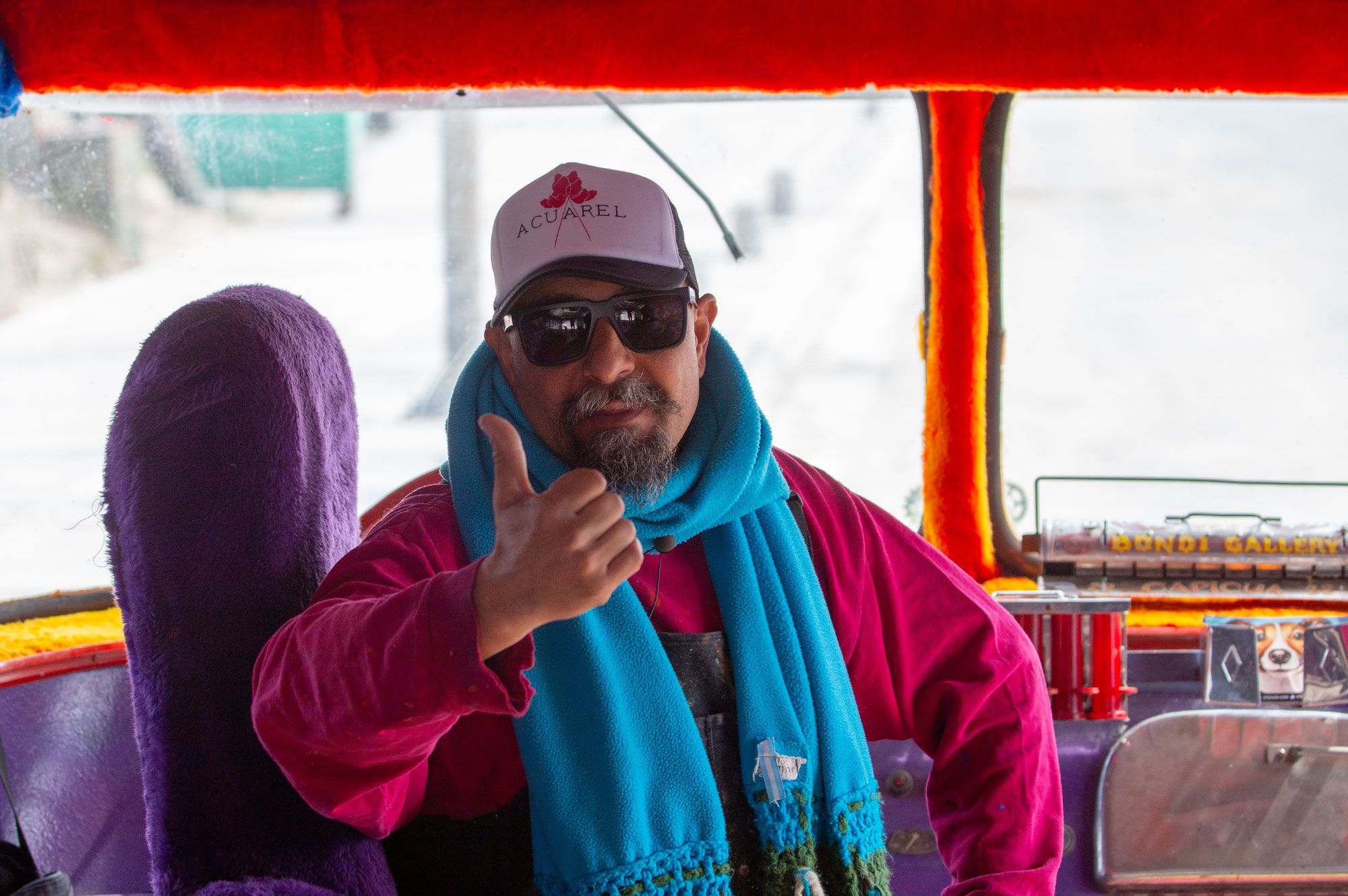 Alfredo Segatori, artista plástico y muralista.