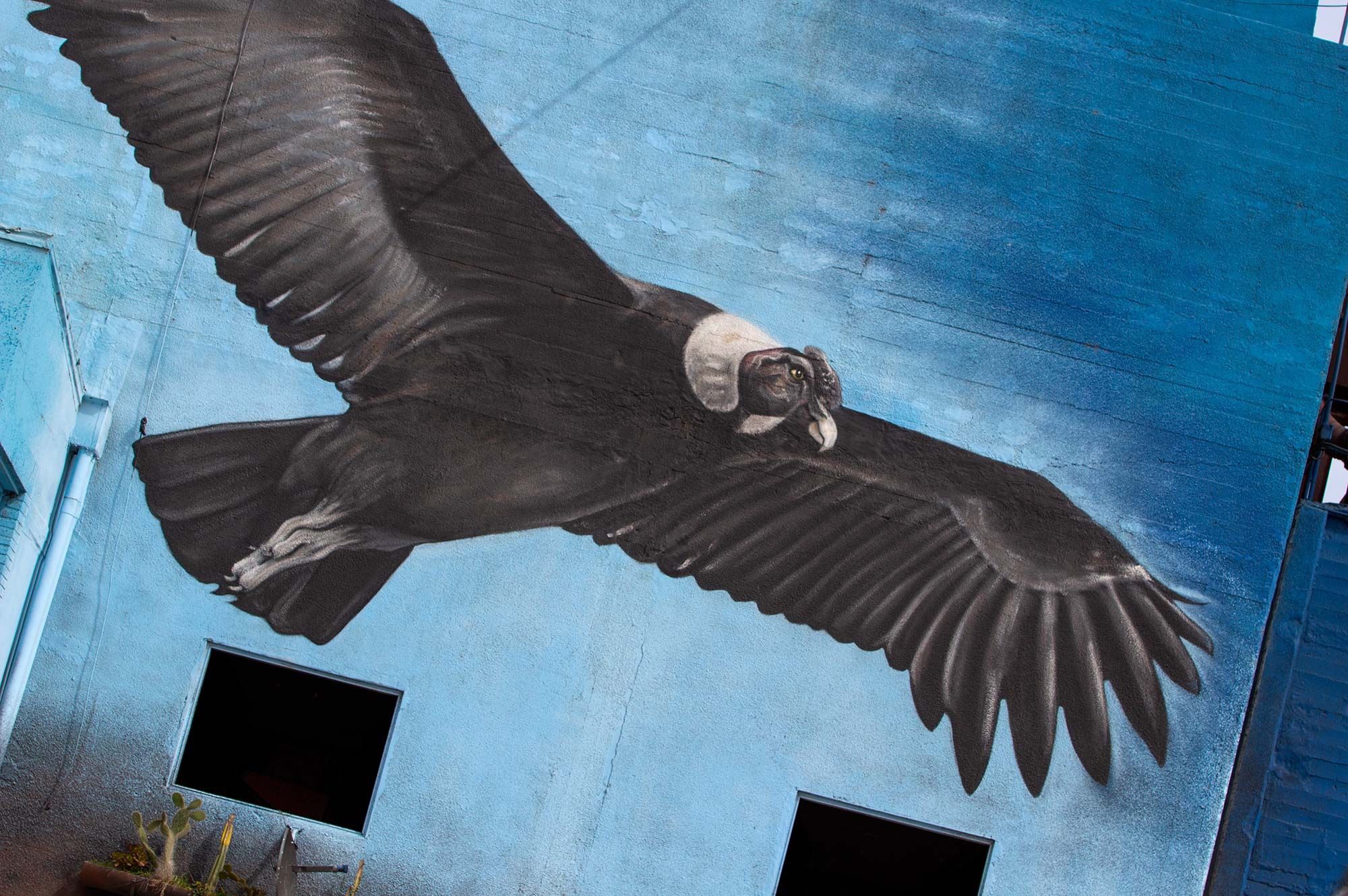 Alfredo Segatori, artista plástico y muralista