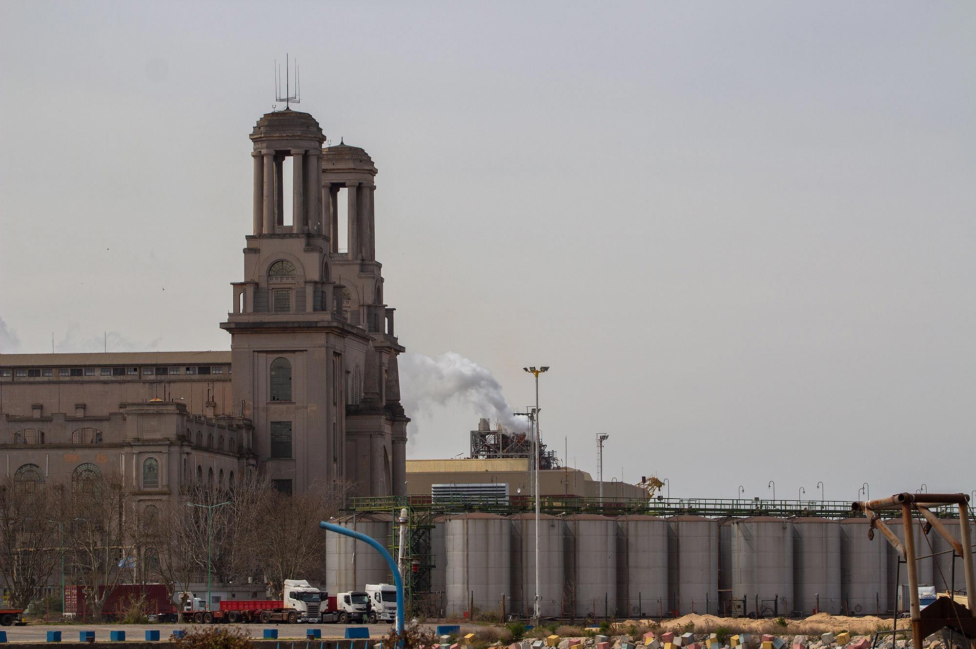 Alfredo Segatori, artista plástico y muralista