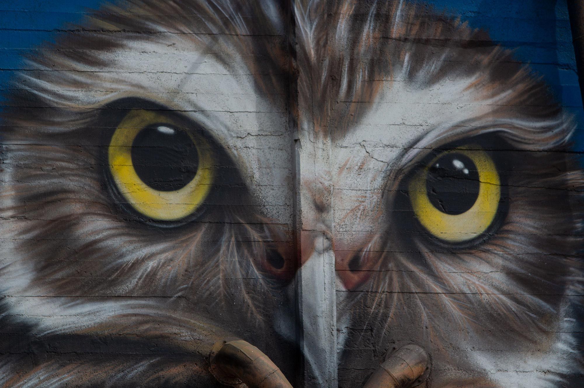 Alfredo Segatori, artista plástico y muralista