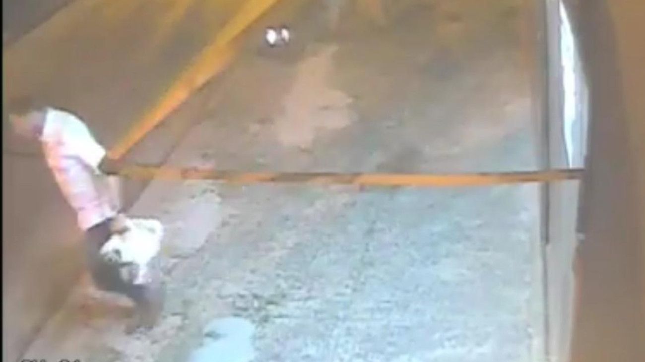 Su ex le incendió la casa, le robó el perro, quedó en libertad y ahora la amenaza de muerte.