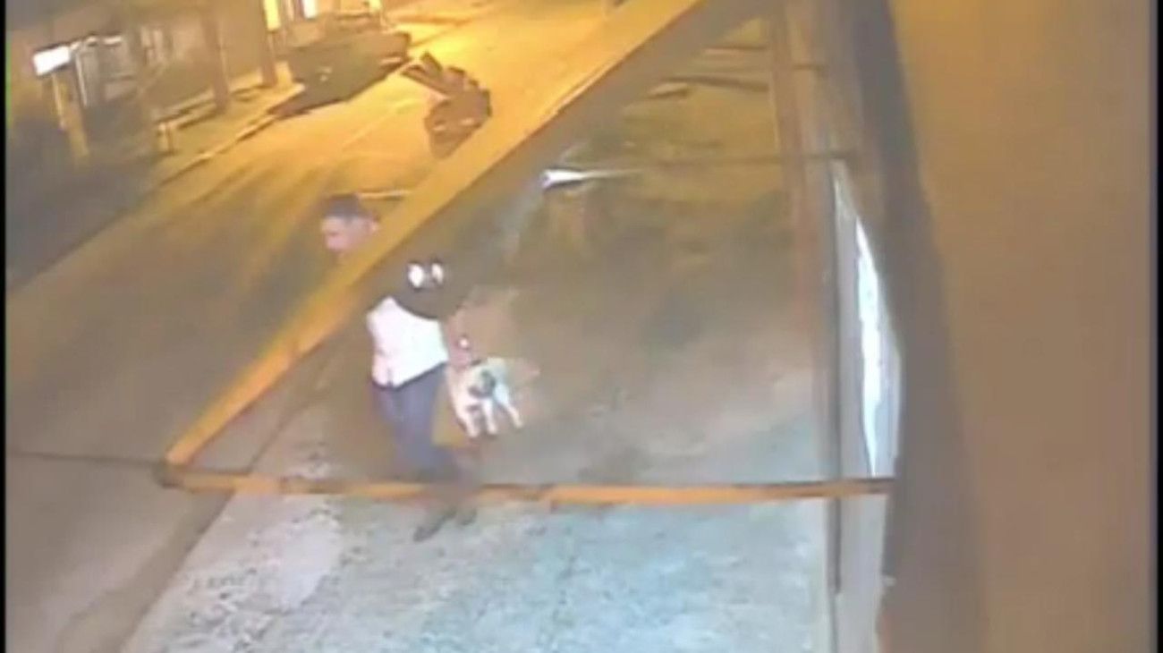 Su ex le incendió la casa, le robó el perro, quedó en libertad y ahora la amenaza de muerte.
