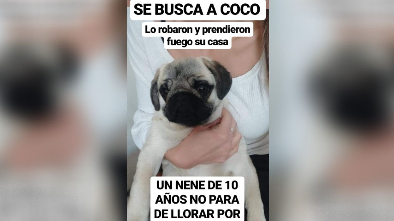 Su ex le incendió la casa, le robó el perro, quedó en libertad y ahora la amenaza de muerte.