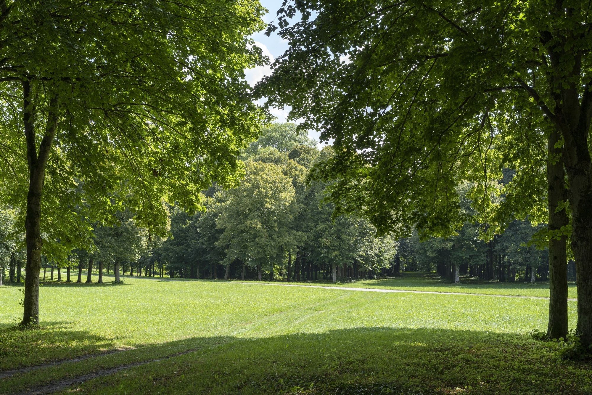 Versailles Head Gardener