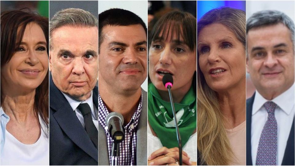 Cristina, Pichetto, Urtubey, Del Plá, Rosales y Hotton, los candidatos a vicepresidente.