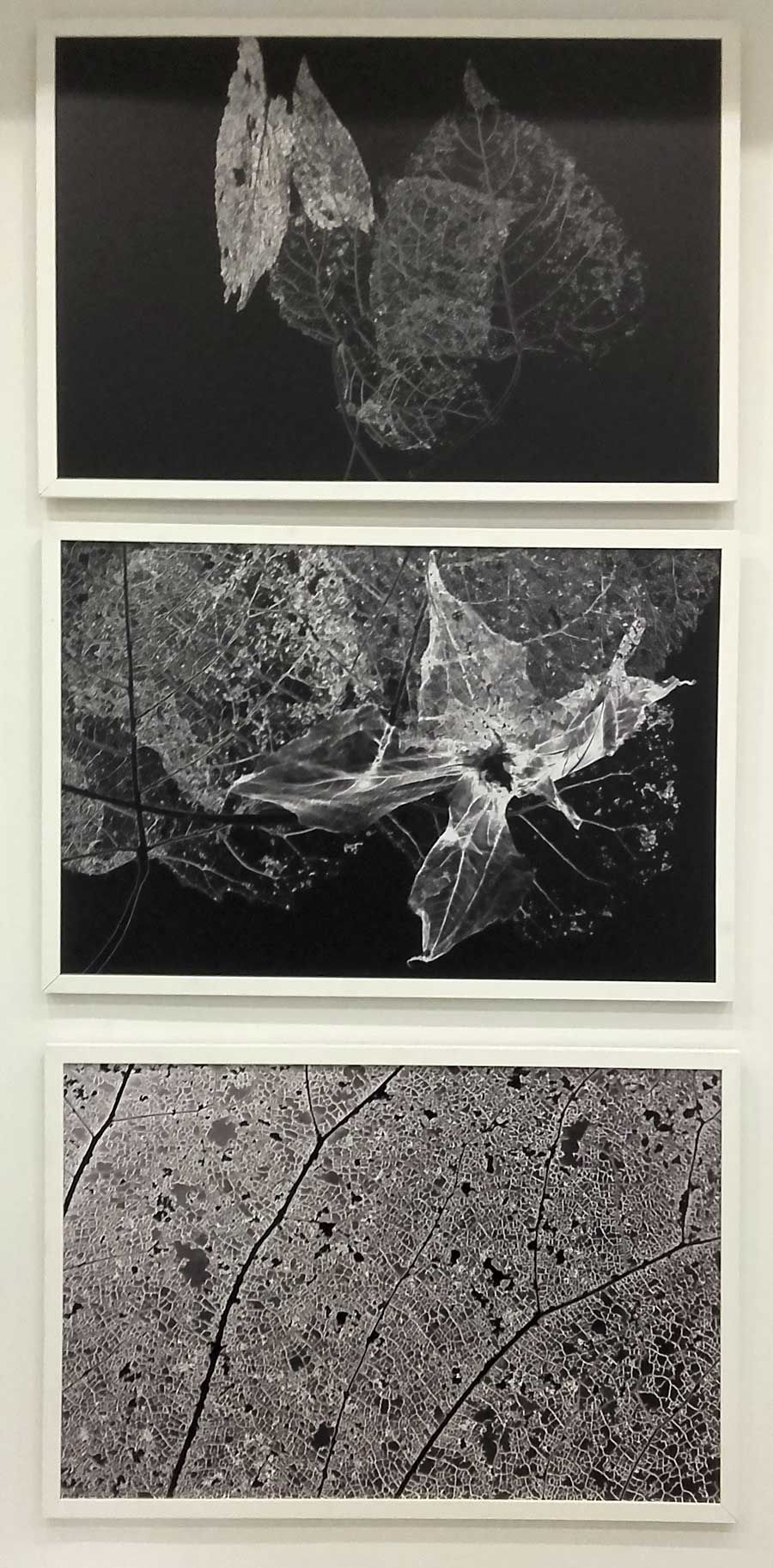 Bresson Gallery - Black