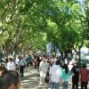 Autoclásica se realiza tradicionalmente en el mes de octubre en el Hipódromo de San Isidro.