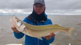 Los pejerreyes de calidad siguen dando pelea en el Río de la Plata.