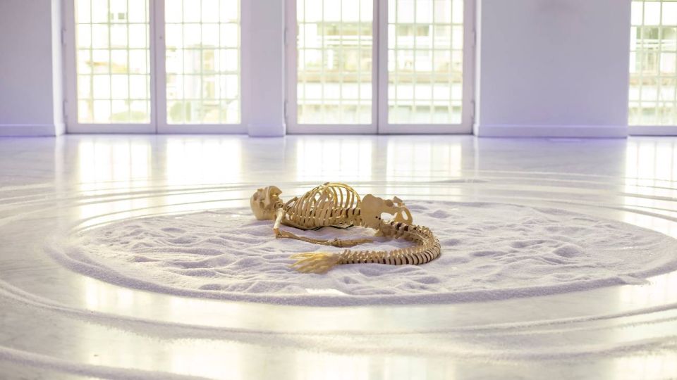 FAENA ART. Coreografías de Sal del artista Osías Yanov.