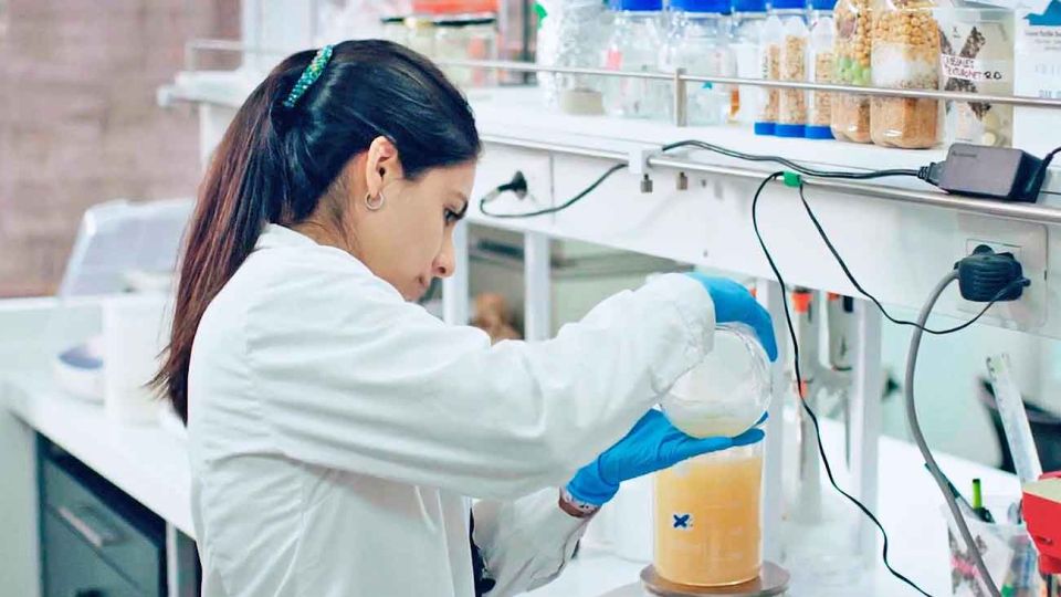 Laboratorio. Científicos de NotCo crearon una mayonesa a base de ingredientes vegetales utilizando un software.