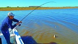 Cuál es el límite de tarariras por pescador/día
