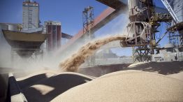 China habilitó las primeras siete plantas argentinas para exportar harina de soja.