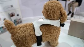 Langualess, se dedica a la comunicación no verbal entre personas y animales, por ejemplo mediante el bio-feedback.