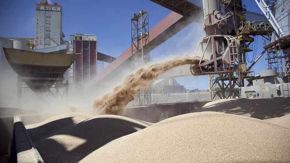 China habilitó las primeras siete plantas argentinas para exportar harina de soja.