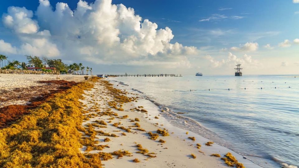 Quintana Roo. La mitad de las playas más visitadas ya no tienen algas.