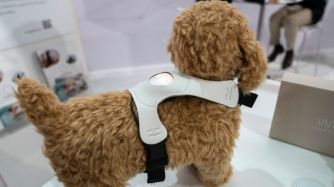 0926_perros