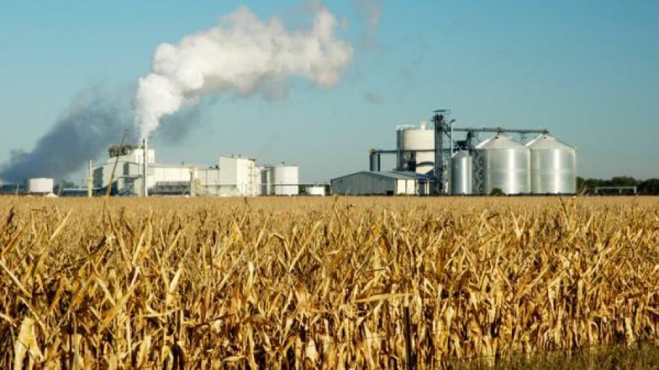 La Cámara de Industrializadores de Granos y Productores de Biocombustible en Origen informó sobre la situación del etanol de maíz.