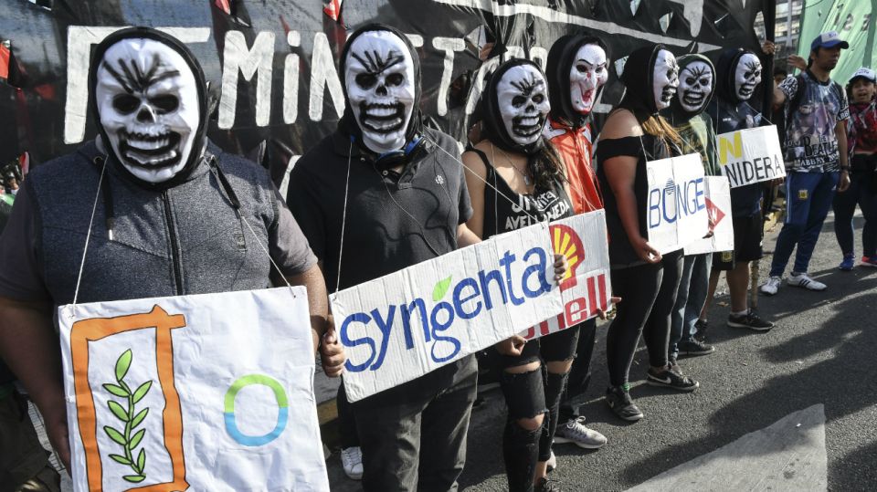 Marchas por el cambio climático en todo el país.