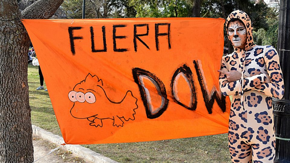 Marchas por el cambio climático en todo el país.