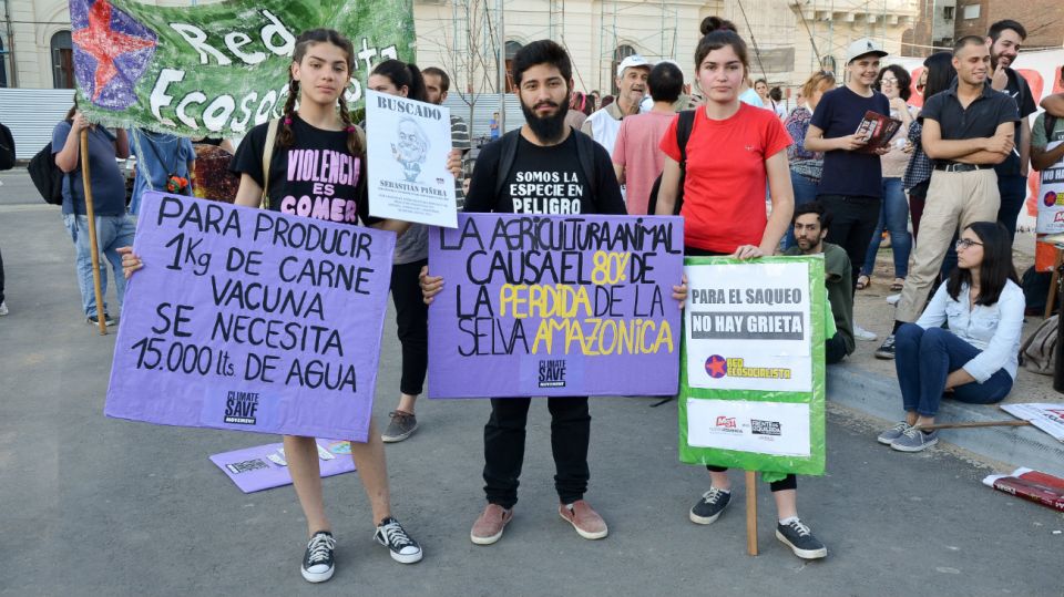 Marchas por el cambio climático en todo el país.