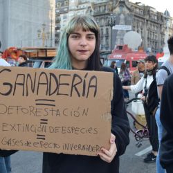 Un centenar de jóvenes marcharon desde Plaza de Mayo al Congreso