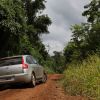Citroën C4 en la selva misionera.
