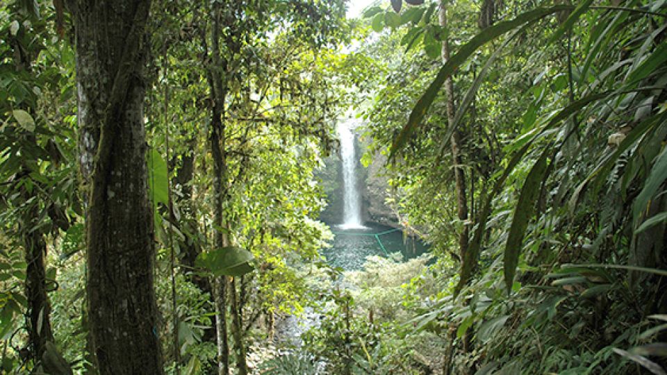 La Amazonía ecuatoriana, uno de los cuatro mundos a los que se ingresa desde Quito.