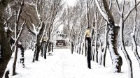 Nevada de primavera en Río Gallegos_g 20190930