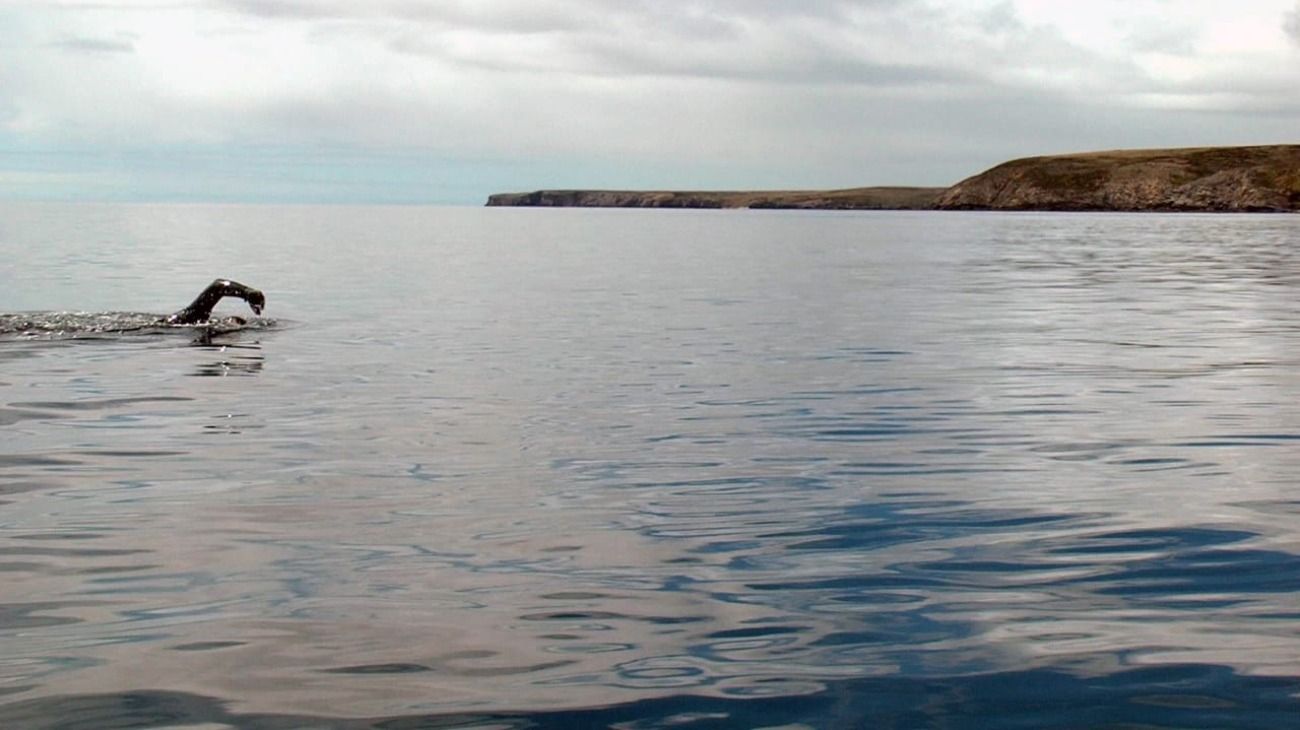 La hazaña de Barletti ocurrió el 9 de noviembre de 2014 cuando unió, a nado, las dos islas Malvinas mediante el estrecho de San Carlos. Su travesía duró poco más de dos horas.