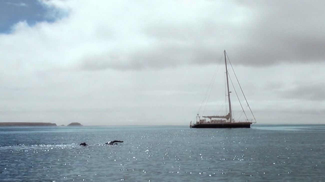 La hazaña de Barletti ocurrió el 9 de noviembre de 2014 cuando unió, a nado, las dos islas Malvinas mediante el estrecho de San Carlos. Su travesía duró poco más de dos horas.