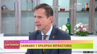 uso medicinal del cannabis