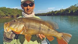 Además de las vedettes de este río, el tucunaré y el trairón, se obtienen corvinas y pirararas.