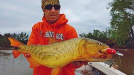 El autor con un lindo dorado de unos cuatro kilos, que dio una intensa pelea entre dos bancos de arena.