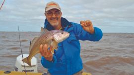A diferencia de la pesca de orilla en la costa atlántica, donde usamos equipos pesados de lance, las corvinas rubias son magníficos rivales que se potencian cuando las buscamos embarcados usando livianos equipos de baitcast y plomos no mayores a 80 gramos.