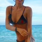 pampita 1007