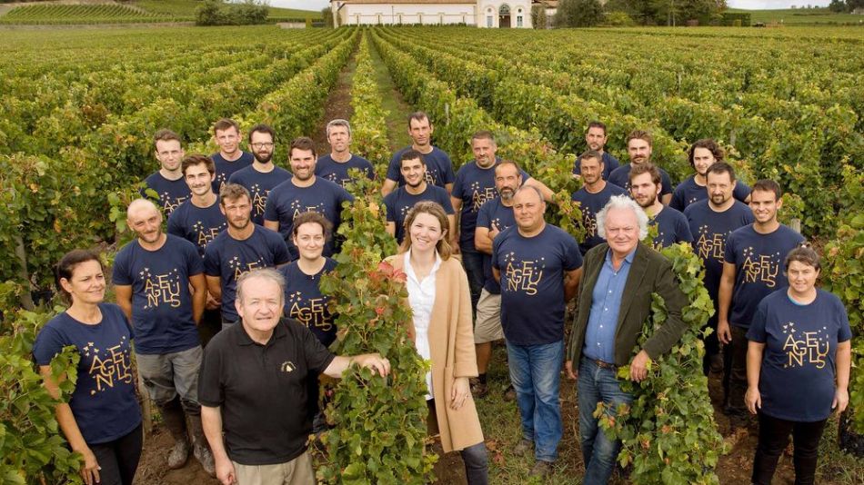 produccion vino 2019 bloomberg
