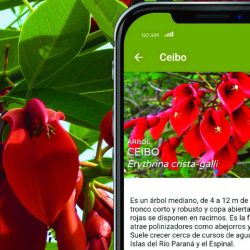 Se descarga de manera gratuita y está disponible para sistemas Android y iOS. Incluye datos de contacto de los prestadores habilitados por P.N., y fichas de flora y fauna.