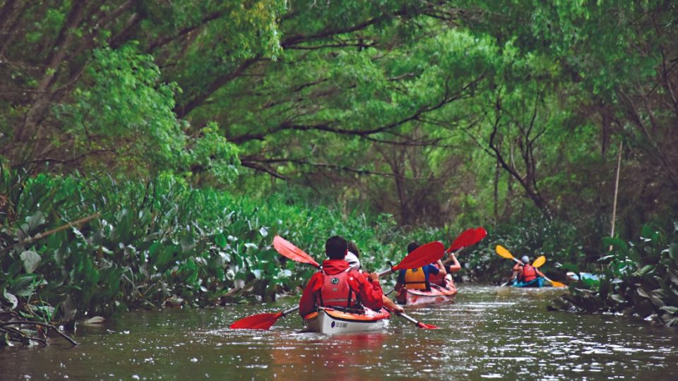 Descubriendo las aguas del Delta