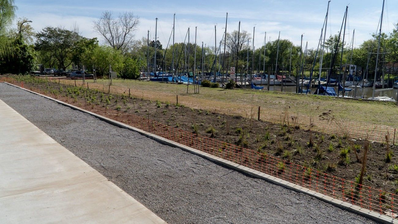 Son diez mil metros cuadrados de espacio verde, en donde se plantaron 150 árboles autóctonos de 25 especies diferentes.