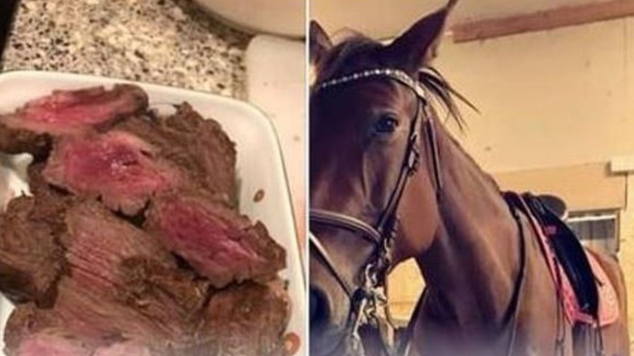 La joven de 18 años escribió un posteo en Facebook donde contó lo que hizo con la carne del animal, y además, compartió fotos. 