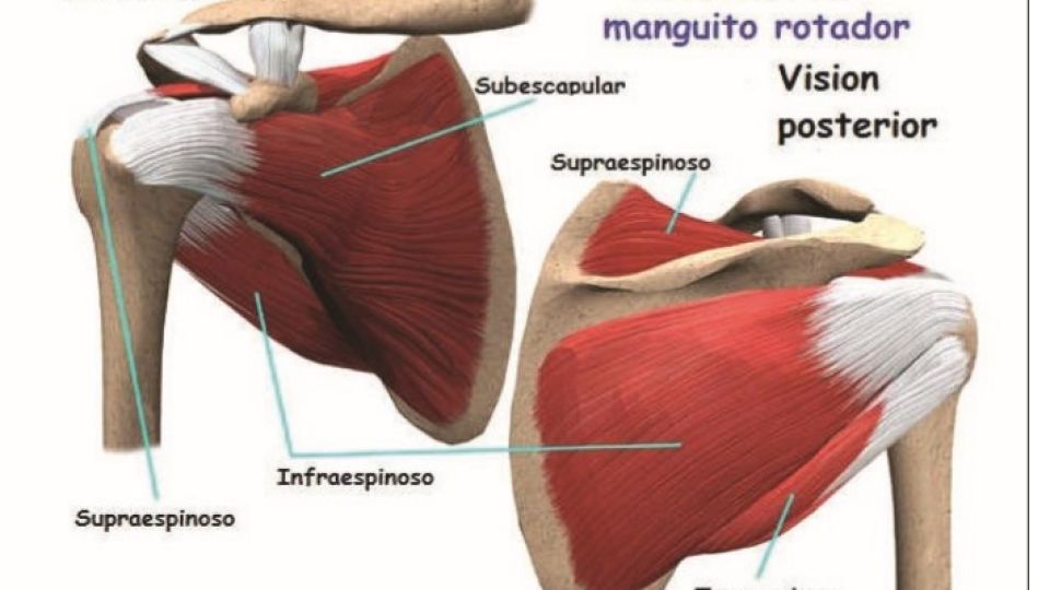 Dr. Martin Zamora