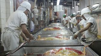 Fortalecerá el desarrollo de la industria frigorífica asegurando el abastecimiento de carnes en condiciones competitivas.