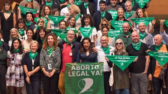 juan_solanas_aborto_legal_afp_g.jpg