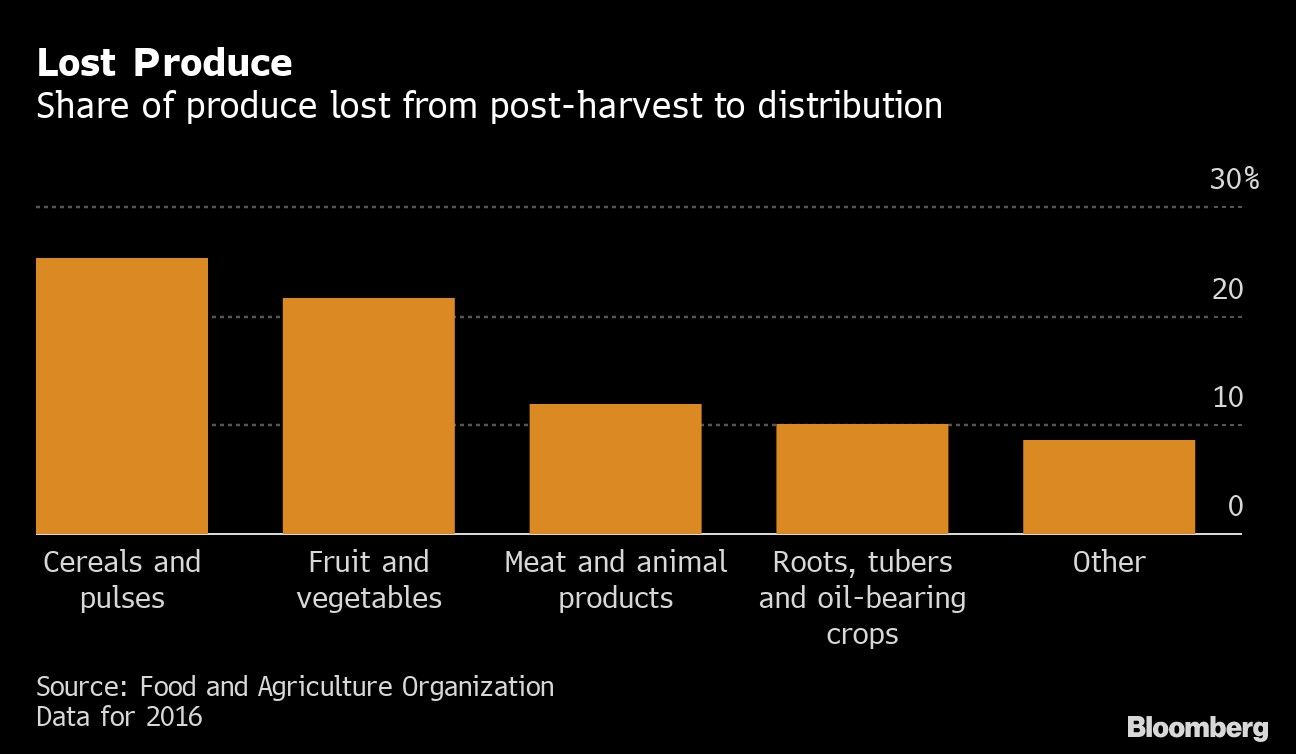 Lost Produce