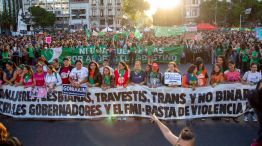 34º Encuentro Nacional de Mujeres en La Plata. 201910142
