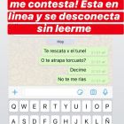 paula delfina chaves 1017