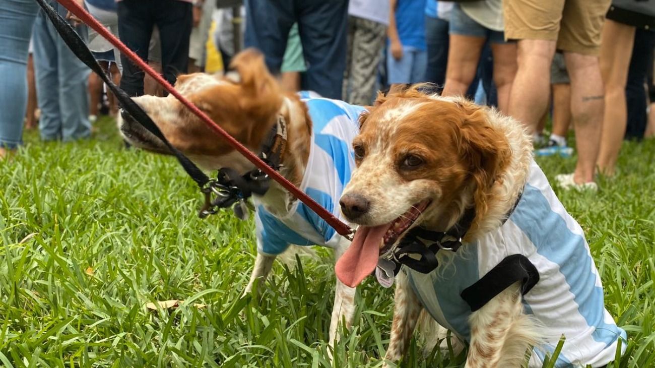 La Marcha del Millón llegó a Miami.