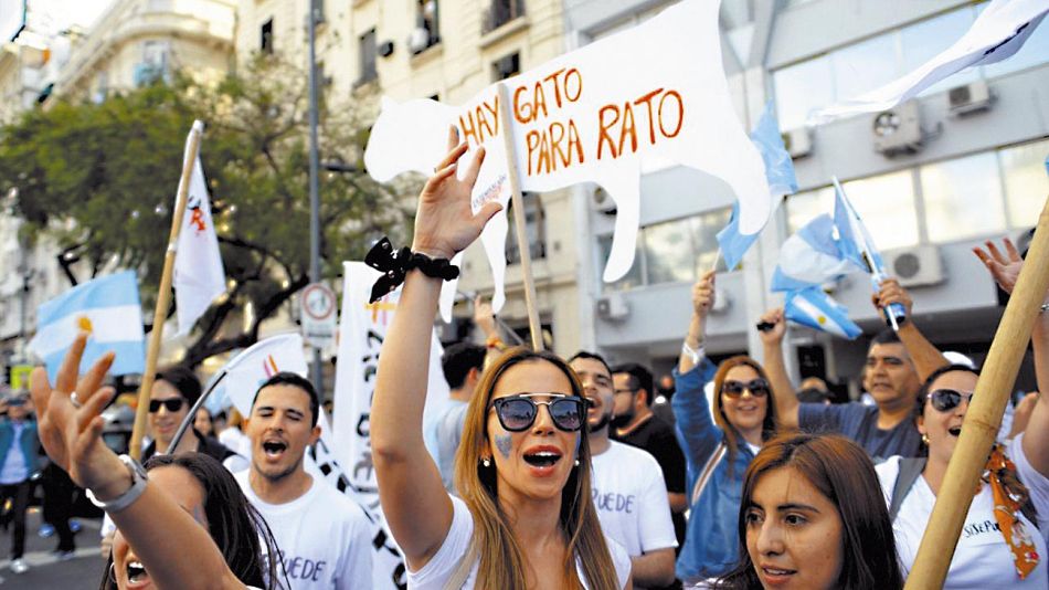 20192010_marcha_gato_cuarterolo_g.jpg