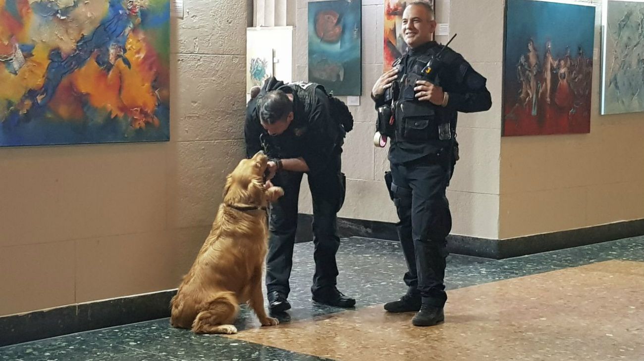 Seguridad en el área de la Facultad de Derecho, de la UBA.