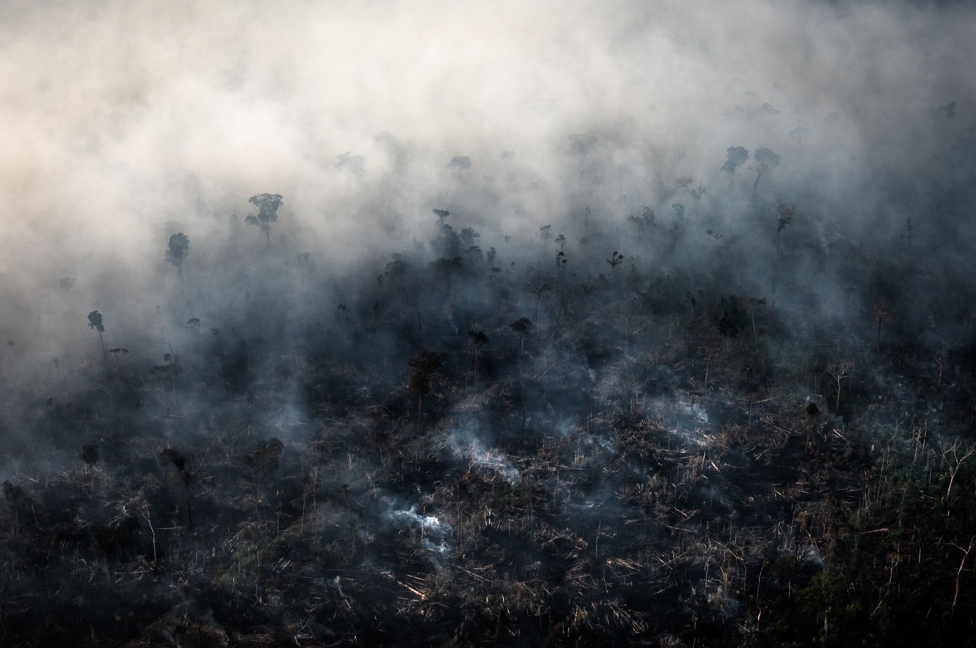 Brazilian Amazon Burns At Record Rate